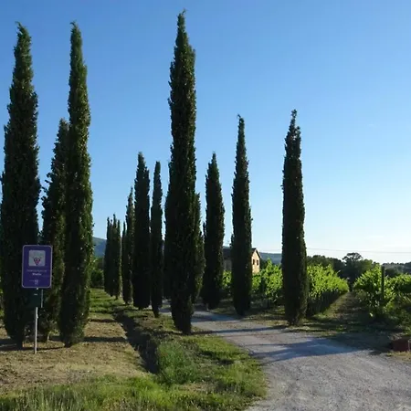 Holiday home Casale Rialto *