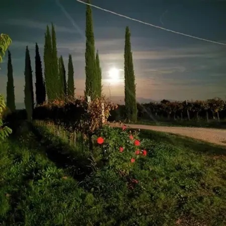 Casale Rialto * Montefalco