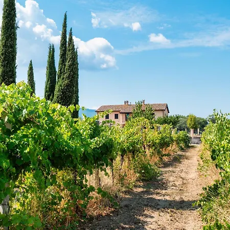 Feriehus Casale Rialto Montefalco