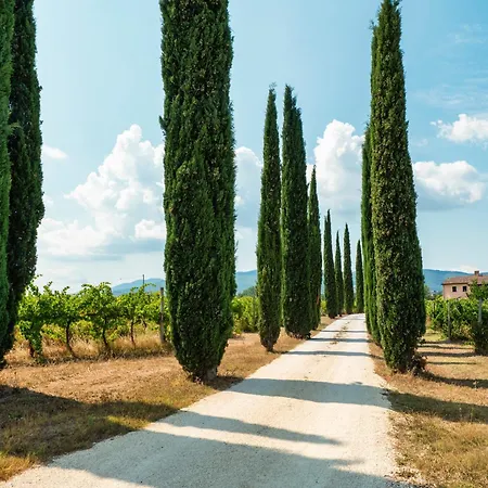 Casale Rialto Holiday home *