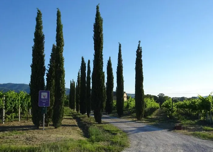 Holiday home Casale Rialto *