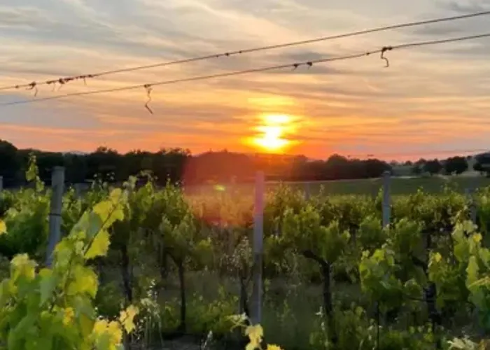 Holiday home Casale Rialto Montefalco