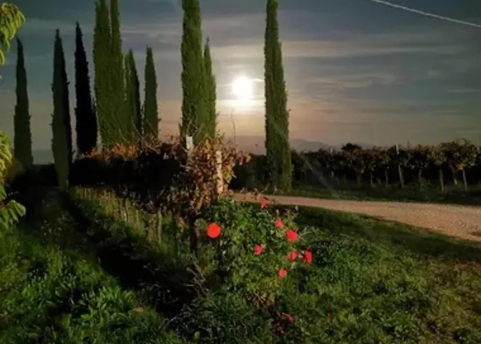 Casale Rialto * Montefalco