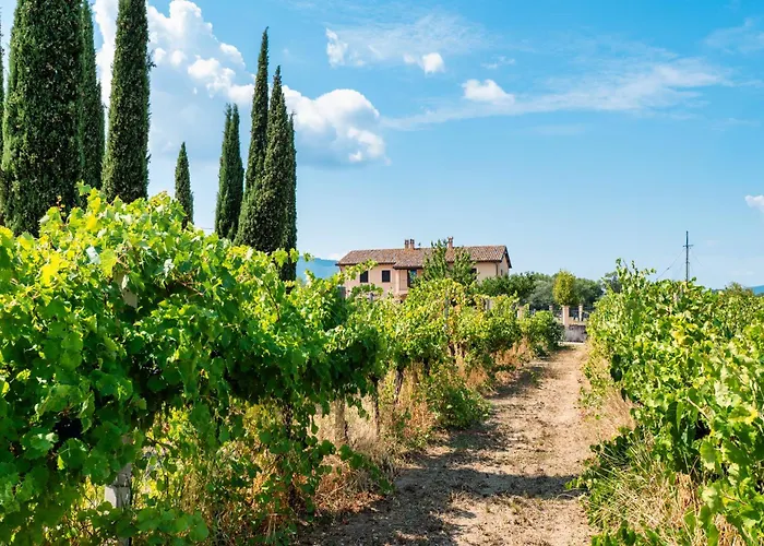 Holiday home Casale Rialto Montefalco