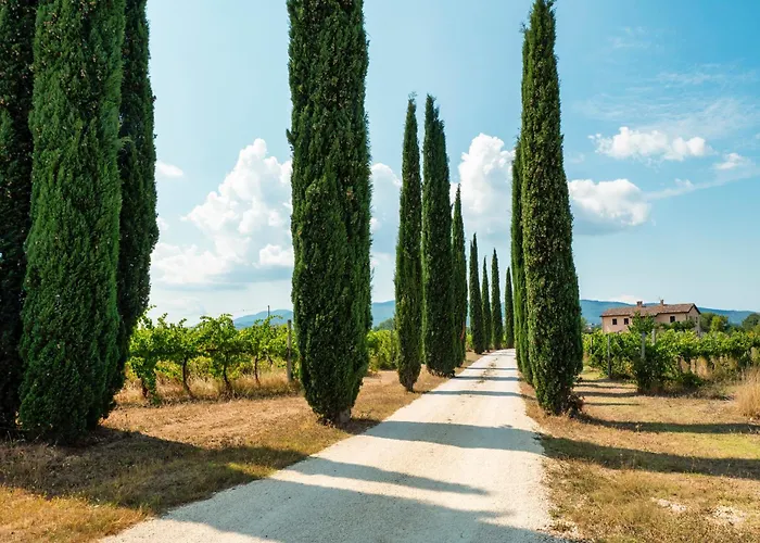 Casale Rialto Holiday home *