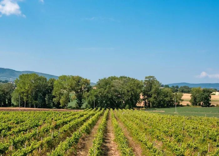 Holiday home Casale Rialto *